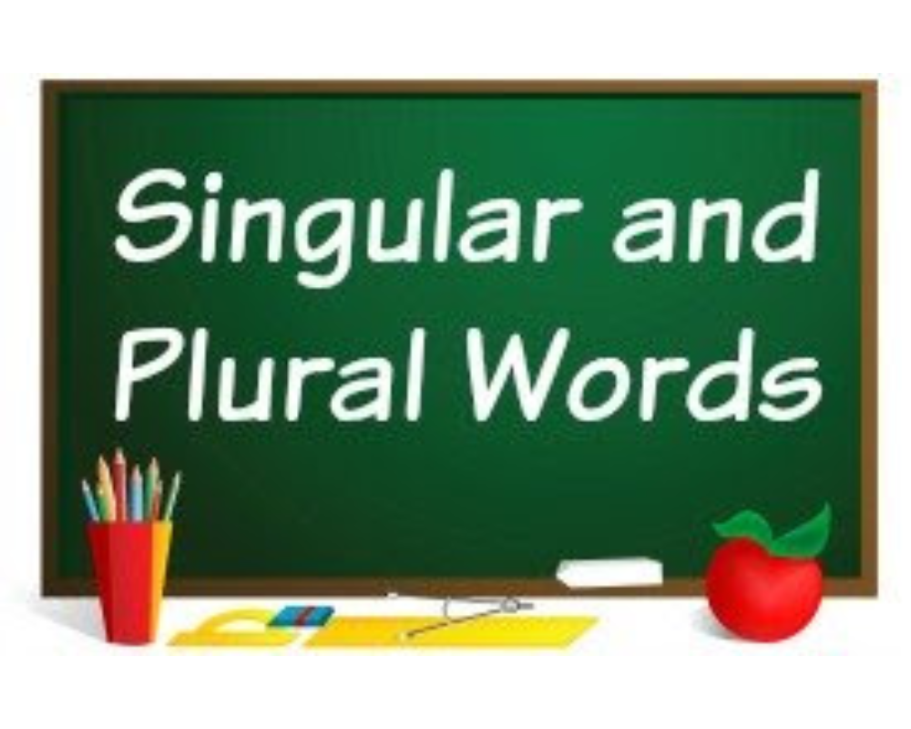 Singular and Plural